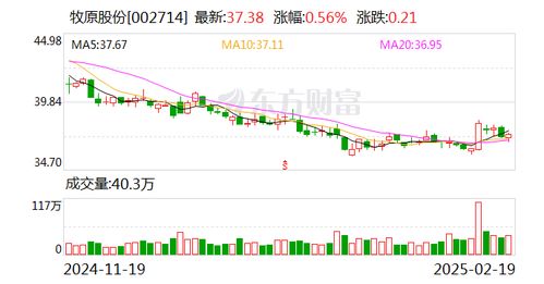 牧原股份董事長(zhǎng)秦英林 從四方面推進(jìn)中國(guó)養(yǎng)豬業(yè)高質(zhì)量發(fā)展