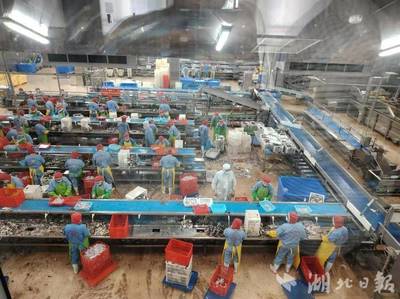 新理念、新模式、新產業--嘉魚縣水產養殖轉型升級創新模式