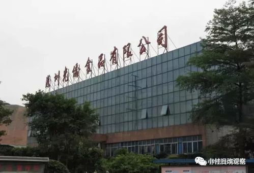 舊改快訊 光明光僑食品廠綜合整治類項目擬調(diào)出計劃