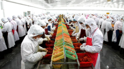 德炎水產食品股份有限公司簡介